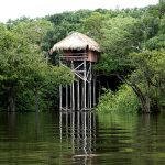 de juma Amazon lodge is de perfecte plek in Zuid-Amerika Pure Luxe